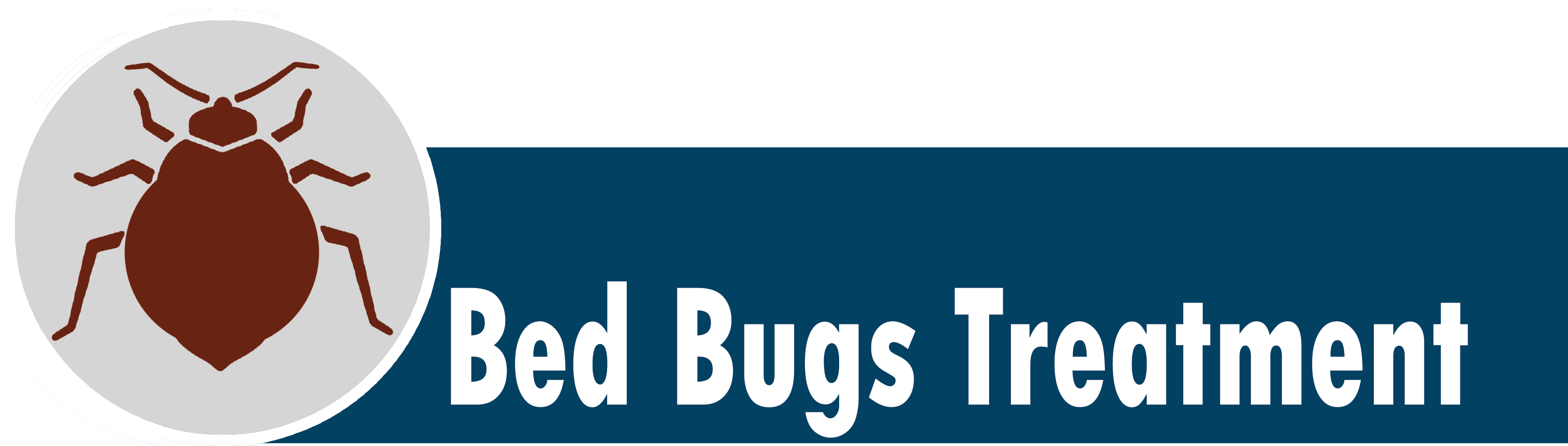 BedbugsTreatment
